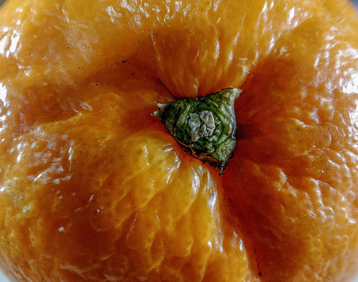 Orange close up